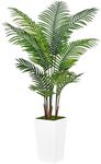 ASTIDY Artificial Palm Tree 5FT - F