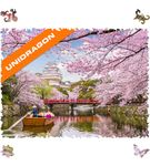 UNIDRAGON Original Wooden Jigsaw Puzzles - Nature Sakura, 500 pcs, King Size 16.9"x11.8", Beautiful Gift Package, Unique Shape Best Gift for Adults and Kids