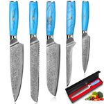 5 PCS Knife Set, Damascus Chef's Knife Set, 67 Layers of VG-10 Damascus Steel, Professional Damascus Kitchen Knife Set Ergonomic Natural Resin Handle, Gift Box