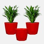 YUCCABE ITALIA SHERA Hexa 6 Inch Pack of 3 Piece Plastic Plant Pot for Home Decor Indoor Plant Pots for Living Room Plastic Flower Pot for Garden (Red)