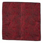 The Tie Hub Paisley Burgundy Microfiber Pocket Square For Men