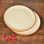 Pottery Barn Dinner Plates