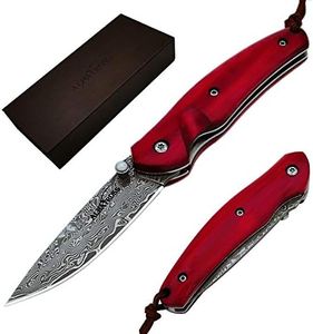 ALBATROSS Pocket Knife Red Wood 6.5'' Modern Damascus Steel Knife Liner Lock Folding Knife Gift Box - HGDK015