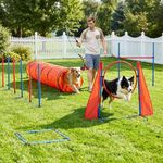 DWVO Dog Agility Accessories Kit: Comprises of a Teaser Pole, 2 Hurdles, 3 Flying Discs, 6 Weaving Poles, Agility Tunnel, Pause Box, Full Set of Agility Equipment for Backyard Indoors Outdoors