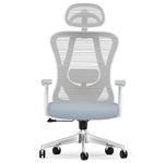 naspaluro Office Chair, Ergonomic Office Chair, Desk Chair with 2D Lumbar Support and 3D Headrest & 3D Armrest, Home Office Computer Chair with Hanger, Mesh Swivel Gaming Chair-Gray