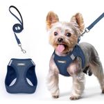 rabbitgoo Dog Harness Small Breed and Leash, Step in Soft Light Puppy Vest, Breathable Mesh No Pull Pet Harness, Reflective for Safe Easy Walking, Navy Blue XS