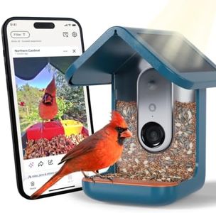 Birdbuddy 