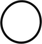 Pentair R172009 Cap O-Ring Replacement Pool and Spa Filter and Feeder