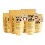 Unlimited Usage Dehydrated Water Kefir Grains by Happy Gut Pro. - Grown in Organic Specialty Sugars and Natural Spring Water - Organic, Vegan, Gluten-Free, and Caffeine-Free - (4 packs)
