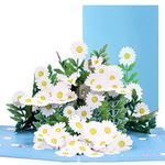 3D Pop Up Greeting Cards, Flower Bouquet Greeting Cards Birthday Cards Graduation Gift Cards Anniversary Birthday Cards for Mum, Wife, Lovers, Valentines, Birthday, Anniversary (Light Blue)