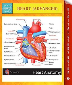 Heart (Adv