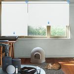 Motorized Blinds