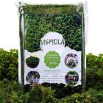 Usmola Fake Moss, Artificial Green 