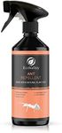 EcoValley Ant Repellent Spray 500ml