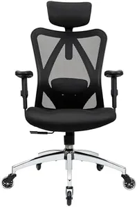 Duramont Ergonomic Office Chair - Adjustable Desk Chair with Lumbar Support and Rollerblade Wheels - High Back Chairs with Breathable Mesh - Thick Seat Cushion, Head, and Arm Rests - Reclines