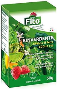 Fito RINVERDENTE