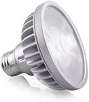 PAR30 LED 