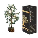 WC_Green Jade Crystal Tree for Positive Energy Home Decorations and Healing Crystal Tree with M-Seal & Golden Wire Green Decor Fortune Tree Crystal Decor Jade Tree Feng Shui Decor (300 Beads)