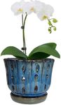 Grdthzey 6 inch Round Ceramic Orchi