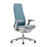 Haworth Fern Office Chair – Ergonomic and Stylish Desk Chair with Breathable Mesh Finish - with Lumbar Support (Cornflower)