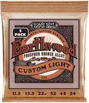 Ernie Ball Earthwood Custom Light P