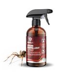 REPELEM Spider Repellent Spray - Natural Peppermint Oil Spray, Non-Toxic, Pet Safe Spider Spray for The Home, High Efficacy, Indoor & Outdoor Mint Scented Spider Deterrent - 250ml