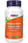 NOW Supplements Stinging Nettle Root Extract 250mg Capsules, 90 Count