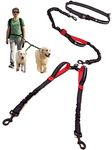 Exquisite Double Dog Leash for Large Dogs | Hands Free Dog Leash 2 Dogs | Waist Dog Leash for Large Dogs | Two Dog Leash for Large Dogs | Leash for Big Dogs | Hands Free Running Dog Leash