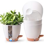T4U Self Watering Pots 6 Inch 4 Pack, Plastic Planters with Water Level Window and Wick Rope for Busy People, Bottom Watering Pot for African Violets, Herbs and Pothos, Indoor Home Decor(White)