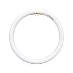 7.25 inch T5 22W Circular Bulb Light Replacement for Floxite, Zadro, Rialto Makeup Magnifying Vanity Mirror, FC22 Surround Fluorescent Lamp 6500K Daylight