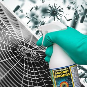 NOPE Spider Killer Spray 5L – Indoor & Outdoor Insect Control