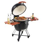 VEVOR 24 inch Portable Charcoal Grill, Propane Gas Grills with Cover and Cart, Heavy Duty Stainless Steel BBQ Grill, Mini Smoker for Outdoor Cooking, Barbecue Camping, Picnic, and Backyard, Black