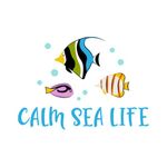 Calm Sea Life - Underwater wonders