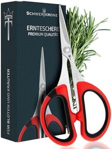 Schwertkro