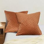 PHF Minky Dot Euro Sham Covers 26"x 26", 2 Pack Soft Cozy Minky Bubble Real Velvet Throw Pillow Covers, No Insert, Home Decorative Square Pillowcase Cushion Cover for Couch Sofa Bed, Caramel