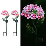 SA Products Solar Powered Metal Stake Light - LED Lamp Ornaments for Gardens, Lawn, Patio and Yard - Auto Wireless Outdoor Lighting Posts - Multicoloured Flower Blossom & Hummingbirds Decor - 2-Pack