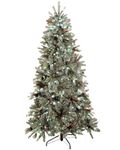 WeRChristmas 5 ft Edwardian Blue Spruce Pre-Lit Multi-Function Christmas Tree Frosted Finish and Pine Cones with 250 White LED Lights/ 8 Setting Controller/ Easy Build Hinged Branches