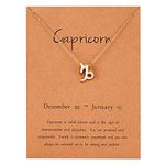 Gold Star Sign Pendant Chain Necklace - Capricorn (22nd December - 19th January) - Zodiac Constellation Horoscope Celestial Astrology Jewellery - Women Men Gift