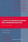 Path to Combinatorics for Undergraduates: Counting Strategies