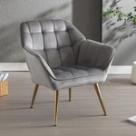 Wahson Velvet Accent Chair Modern Upholstered Tub Chair with Golden Metal Legs, Occasional Comfortable Padded Lounge Armchair for Living Room/Bedroom, Gray