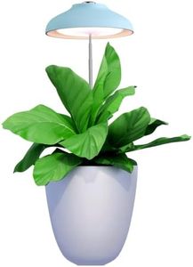amzWOW lampe pour plantes d'intérieur Egle - Lampe horticole à led de 3500K à spectre complet optimisé pour la croissance des plantes d'intérieur - Pied ajustable - Cycle jour/nuit automatisé (Bleu)
