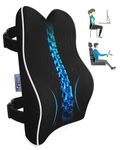 Lumbar Support Pillow for Office Chair Back Support Pillow for Car,Recliner -Memory Foam Lumbar Pillow Back Pillow for Back Pain Relief,Improve Posture -Two Adjustalbe Straps & Ventilate Mesh Cover