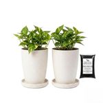 Urban Upvan 8 Inch Tower Pot with Tray (White) with Vermicompost | Large Round Flower Pot | Durable Lightweight Plastic Planter for Indoor Outdoor Plants, Balcony & Garden, (Pack of 2)