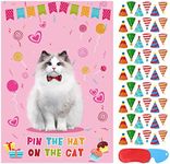 Pin The Hat On The Cat Party Game C