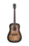 Washburn Deep Forest Burl 6 String Acoustic Guitar, Right (DFBDB)