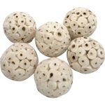 5122 Mini Sola Balls Pk6 - Small Size Natural Chewable Foot Toys, Air Dried Lightweight Foraging Sola Wood Balls, Easy to Shred and Chew, Excellent for Small Pets Budgie Cockatiel Lovebird Parrotlet