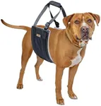 Mighty Paw Dog Lift Harness - Dog Sling for Large Dogs Hind Leg Support, Dog Support Harness for Back Legs, Comfortably Supports Elderly Dogs with Hip and ACL Brace, Dog Back Leg Support Harness