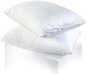 CirclesHome Pillow Protectors 2 Pack Queen Zippered - 100% Sateen Cotton Breathable Pillowcases - Protects Pillows from Dirt, Dust and Debris (Queen- Set of 2 - 20x30)