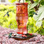 Juegoal Glass Hummingbird Feeders for Outdoors, 26 oz Wild Bird Feeder with 5 Feeding Ports, Metal Handle Hanging for Garden Tree Yard Outside Decoration, Red