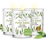 Magnificent 101 Pure Sage Smudge Ca